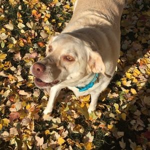 Meet your Posher, Mandy